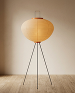 Sculptural Rice Paper Floor Lamp