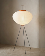 Sculptural Rice Paper Floor Lamp